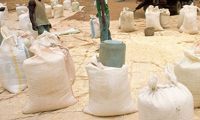 Maize imports arrive to ease shortage