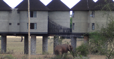 A tale of two lodges part I