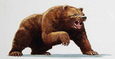 How to survive the bear market
