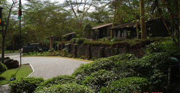 Homely hill lodge in flamingo town