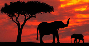 Coming to Samburu
