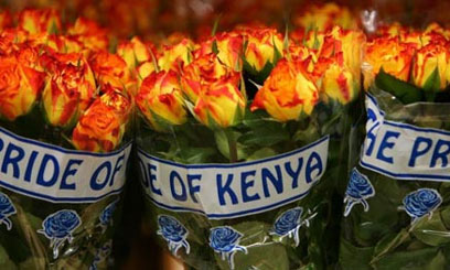 Sh68m grant to improve horticulture produce