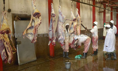 How NEMA made abattoir to go green