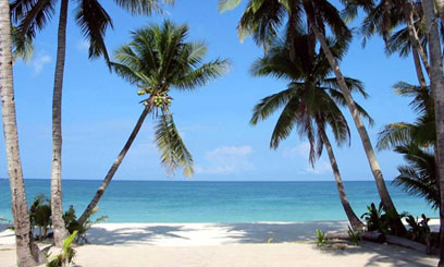 Tourism unshaken by terror threats