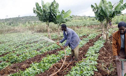 Bill to formalise SME sector in the offing