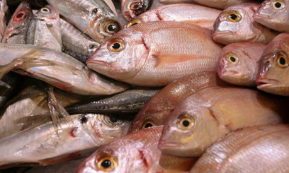 Banned antibiotics in Asian fish imports