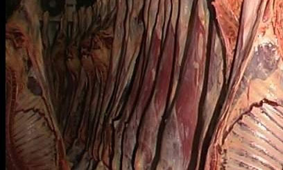 Burma market to remain shut over poor hygiene