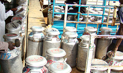 Murang’a dairy farmers to get Sh5 subsidy for every litre of milk