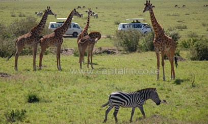 Insecurity to hit tourism sector hard