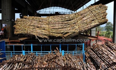 Mauritius firm in Sh1.7b sugar sector venture