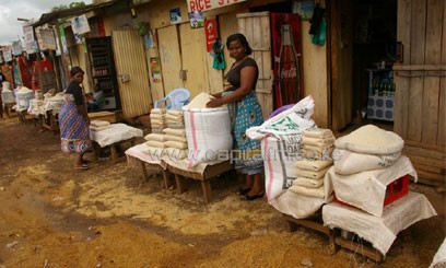 Africa urged to invest in systems to curb post-harvest losses