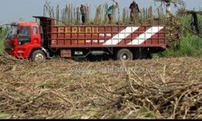 Govt launches App to bridge gaps in sugar production