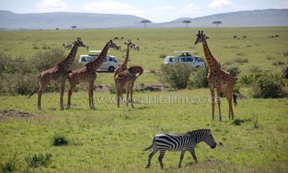 Tourists to Kenya unmoved by polls