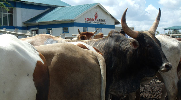 Ngare Narok to boost Laikipia meat industry