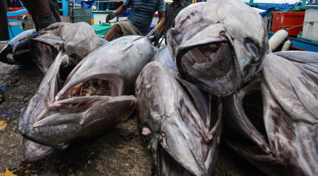 Japan tuna price soars past $270,000 at New Year auction