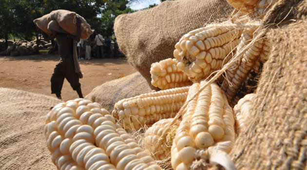Microsoft, IFC partner to promote sustainable agriculture in Africa