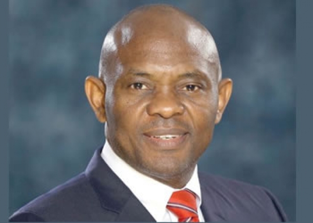 Tony Elumelu presents case for Power Africa before US Senate