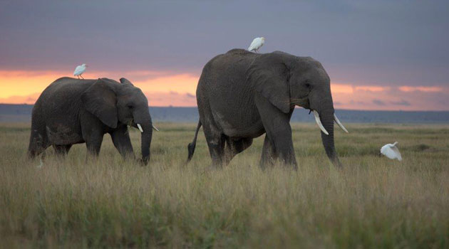 KTB to spend Sh200m in tourism recovery plan
