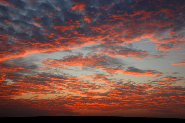 Maasai Mara skies photographed by Susan Wong 2012 - 2 Maasai Mara skies photographed by Susan Wong 2012 - 2