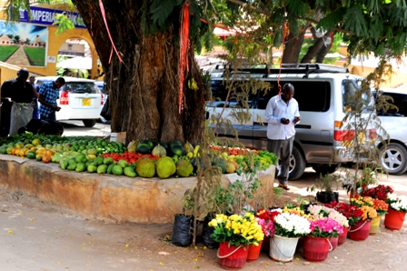 Touring in a Tuk Tuk in Malindi photographed by Susan Wong 2011 - fruit stand Touring in a Tuk Tuk in Malindi photographed by Susan Wong 2011 - fruit stand