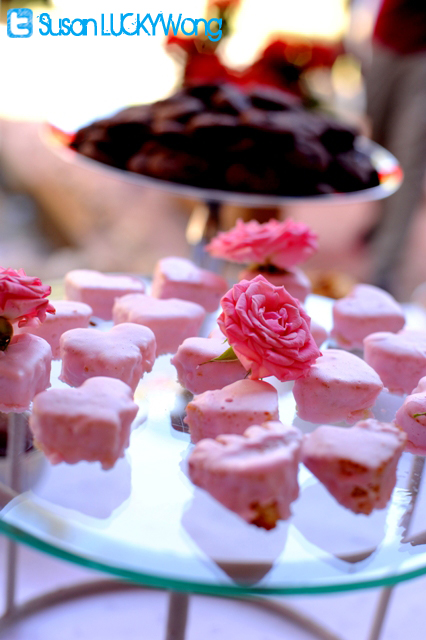 fashion high tea at zen garden photographed by susan wong 2012 nairobi kenya - pink bitings