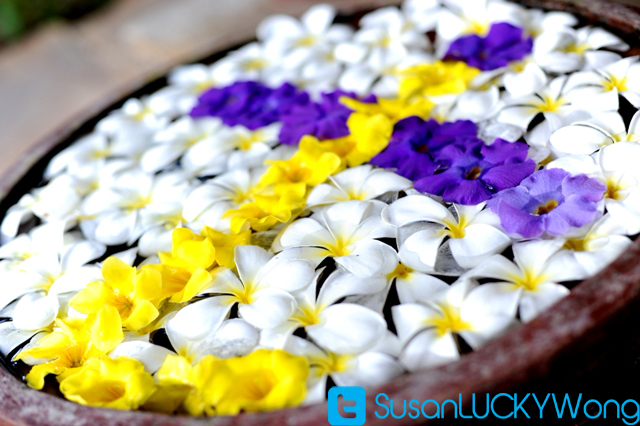 tulia spa sarova whitesands flowers photographed by susan wong 2012