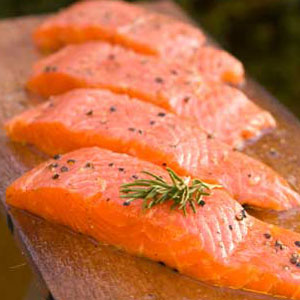 salmon