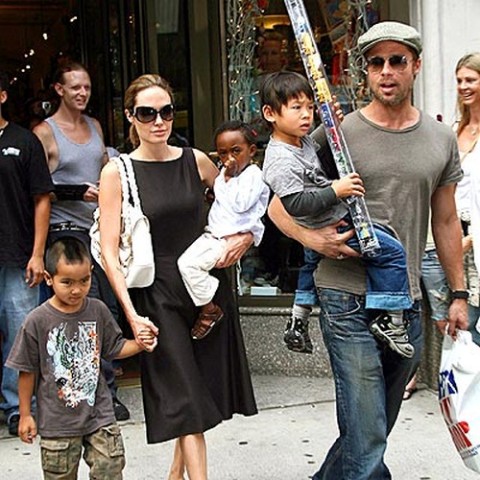 bradjolie