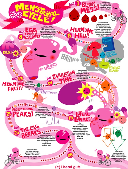 menstrual-cycle-20091109-134103