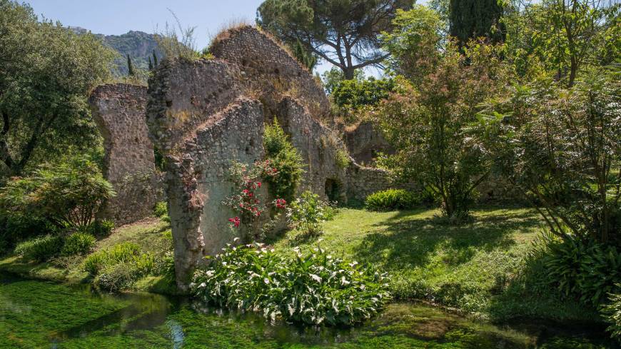 nifa garden