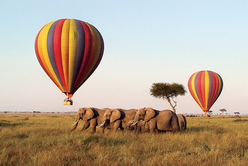 baloonsafari in masai mara