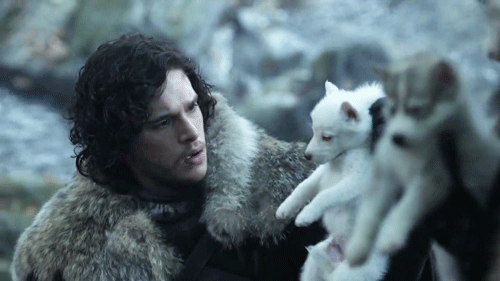 snow wolf