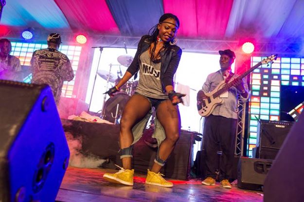 koroga papa 3