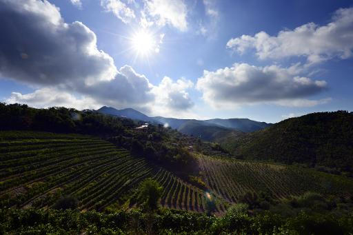italy wine country