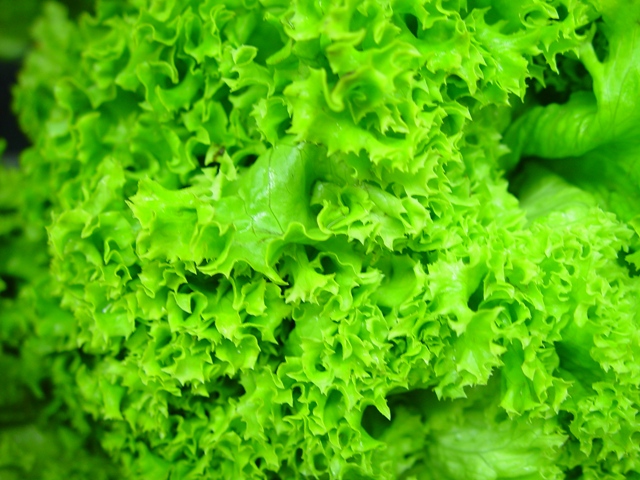 Lettuce