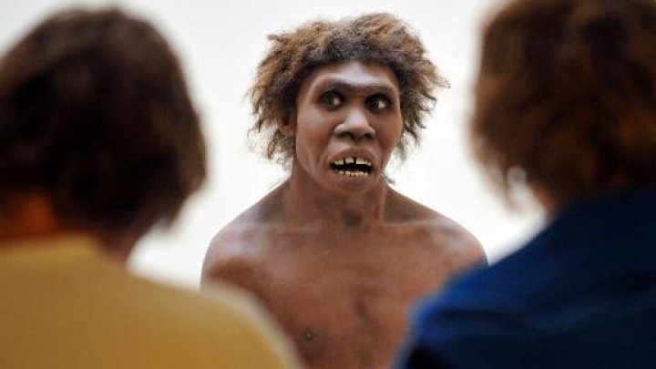 Oldest DNA