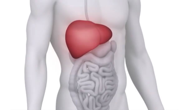liver-video