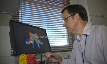 Lead researcher and Associate Professor Mike Lawrence from the Colman Lab, Structural Biology, examining modes for docking insulin (modelled in white) into a three-dimensional structure of the human insulin receptor ectodomain (modelled in yellow and red) in Melbourne/AFP