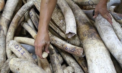 A squad of soldiers found the small stash of ivory following a tip-off from an LRA defector/FILE