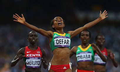 New team to review CDF laws