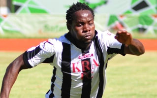 11 debutants in Williamson first Stars’ squad