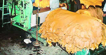 Kenya s leather industry on the spotlight