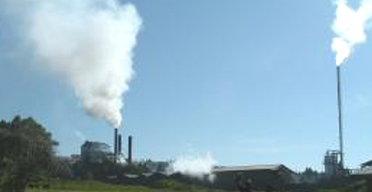PanPaper challenged to set up power plant