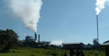 Pan paper strategise on profitability