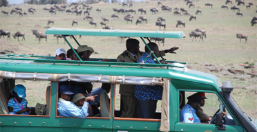 Take up domestic tourism, President urges