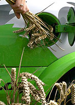 Biofuels straining water reserves: experts