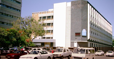 IFC injects Sh1.8b in DTB