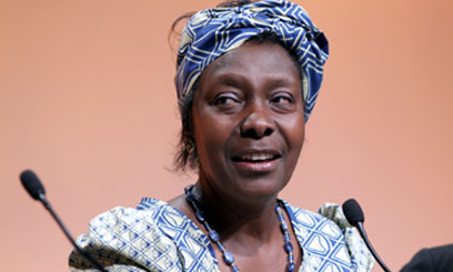 Mayor waves court card at Ngilu