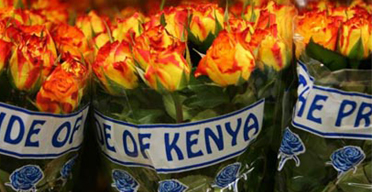 Kenyan seeks to flower Japan