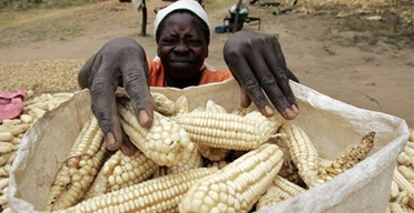 Kenya assured of sufficient food
